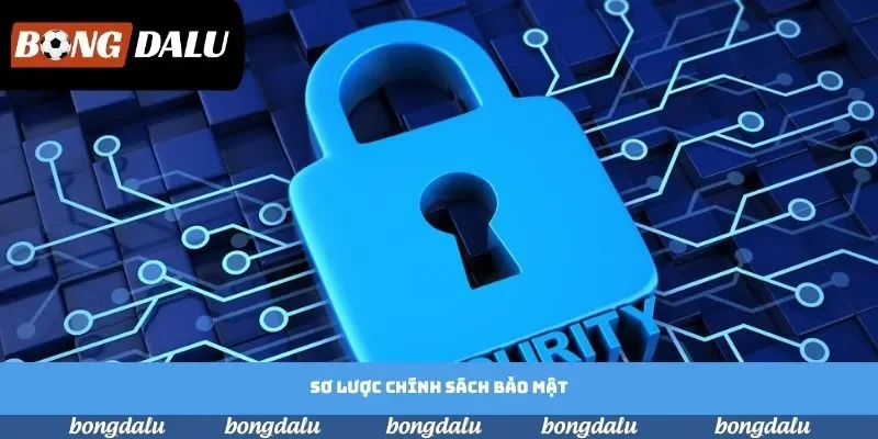 Sơ lược chính sách bảo mật Sơ lược chính sách bảo mật