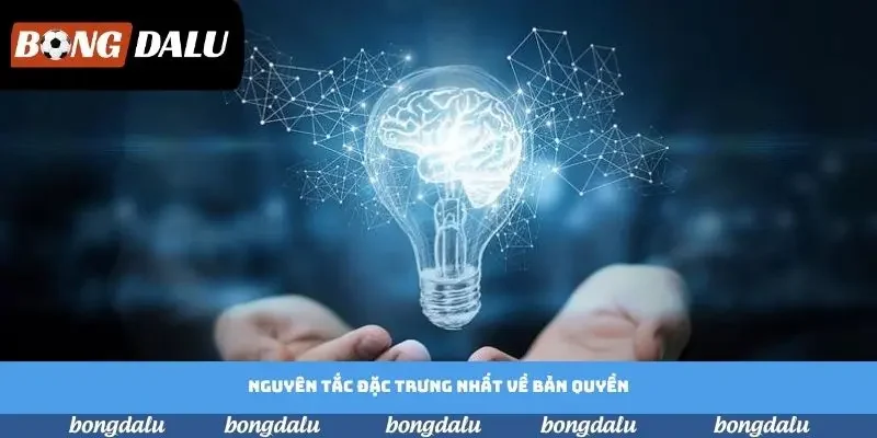 Nguyên tắc đặc trưng nhất về bản quyền Nguyên tắc đặc trưng nhất về bản quyền