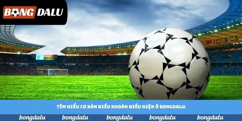 Tìm hiểu cơ bản điều khoản điều kiện ở Bongdalu Tìm hiểu cơ bản điều khoản điều kiện ở Bongdalu