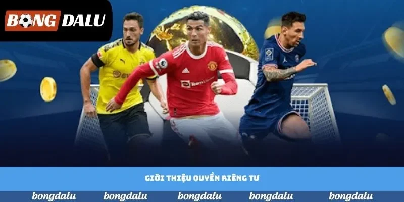 Giới thiệu quyền riêng tư Giới thiệu quyền riêng tư