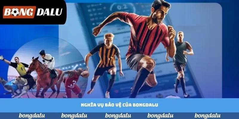 Nghĩa vụ bảo vệ của Bongdalu Nghĩa vụ bảo vệ của Bongdalu