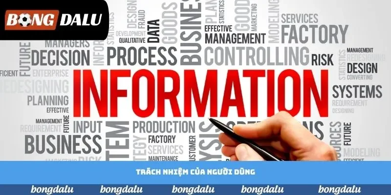 Trách nhiệm của người dùng Trách nhiệm của người dùng