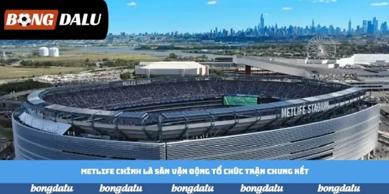 MetLife chính là sân vận động tổ chức trận chung kết MetLife chính là sân vận động tổ chức trận chung kết